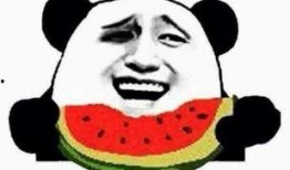 娱乐瓜姨吃瓜群众,揭秘吃瓜群众的狂欢盛宴